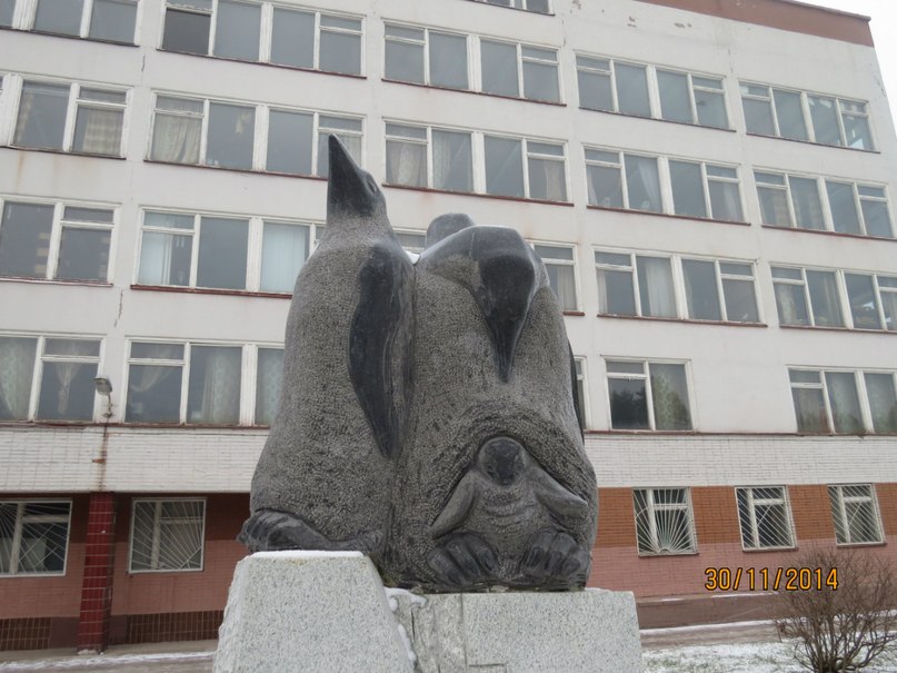 В Антарктиде льдины землю скрыли Аккорд (слова А.Горохова, музыка В. Купревич)