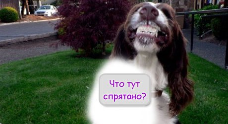 Л.А.В.В.ИЛ.К.ИП.С.ФС С.К.О.Р.П.Ы