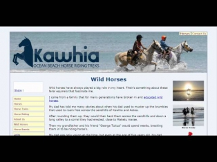 Kawhia - Ocean Beach Horse Riding and Horse Treks