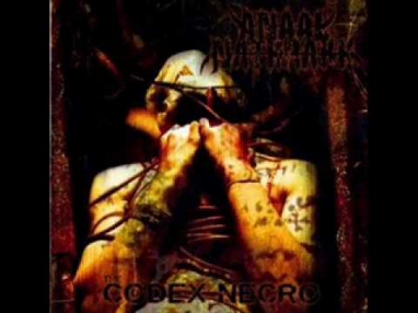 Anaal Nathrakh - Human, All too Fucking Human