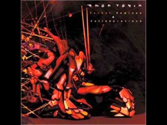 AMON TOBIN - Untitled feat. KID KOALA