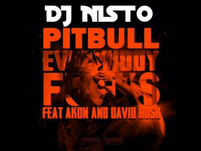 Pitbull ft Akon & David Rush - Everybody Fucks ( DJ NISTO Remix)