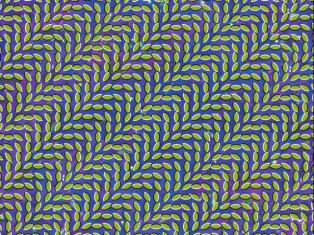 Animal Collective - Taste