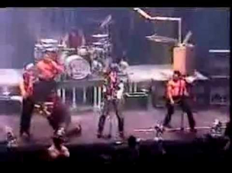 Rammstein Ft. Ramones & Misfits - Pet Sematary