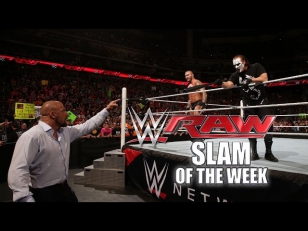 Sting and Orton decimate The Authority: WWE RAW Slam of the Week 3/16