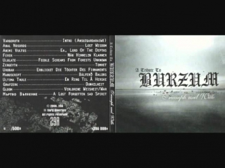 Anal Nosorog - Lost Wisdom (Burzum cover)