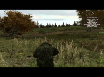 Правила выживания DayZ #1