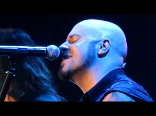 Daughtry 