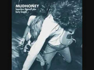 Mudhoney - Hate The Police (Dicks Cover)