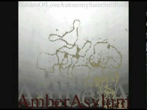 AMBER ASYLUM SERENADE