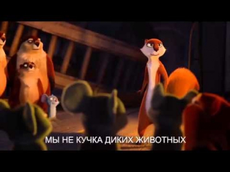 Cutting Trailer Video Реальная Белка 3D. HD 2014