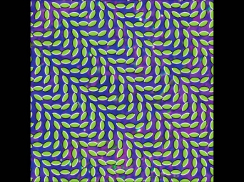 Animal Collective - Daily Routine