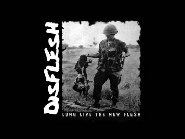 Disflesh - Chain Reaction