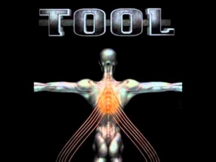 Tool - No Quarter (Salival) [Led Zeppelin Cover]