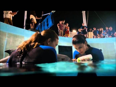 История Дельфина 2/ Dolphin Tale 2 (2014) Дублированный трейлер