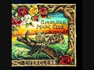 Royal Cafe by American Music Club