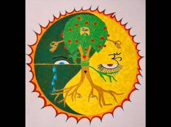 Grateful Dead - Alligator