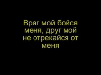 группа Градусы-режиссер