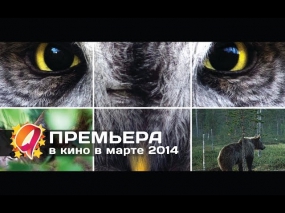 Чудесный лес (2014) HD трейлер | красивая природа в фильме из Финляндии