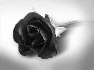 Luca Turilli Dreamquest - Black rose