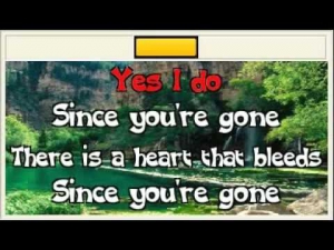 Lonely nights   Scorpions karaoke