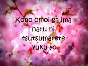 Sakura Ikimono Gakari Lyrics Letra