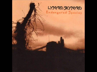 Lynyrd Skynyrd - Down South Jukin'.wmv