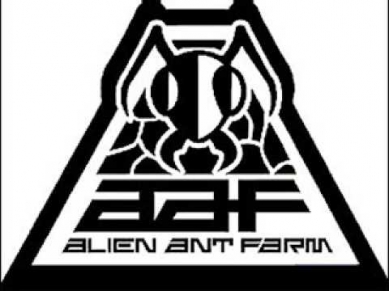 Alien Ant Farm: Forgive + Forget