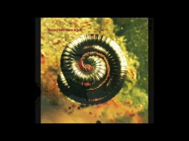 Nine Inch Nails - Closer to god (HD)