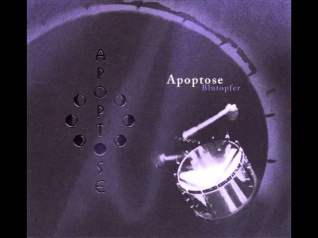 Apoptose - Prozession der Augen