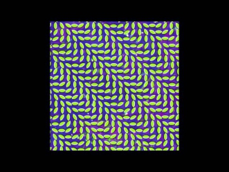 Animal Collective | Merriweather Post Pavilion