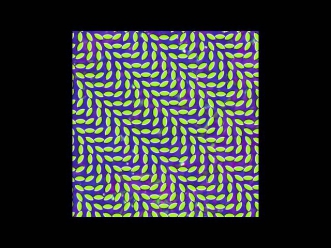 Animal Collective | Merriweather Post Pavilion