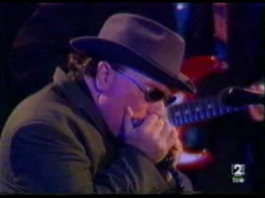 Van Morrison - Talk is cheap - live