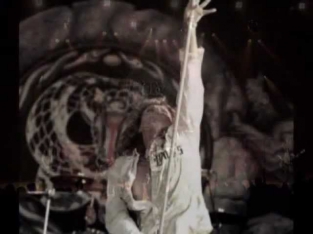 Whitesnake - 